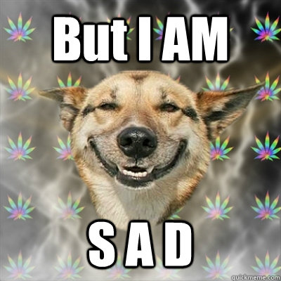 But I AM S A D  Stoner Dog