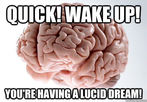Quick! Wake up! You're having a lucid dream!  Scumbag Brain