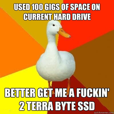 Used 100 gigs of Space on current hard drive better get me a fuckin' 2 terra byte SSD  Tech Impaired Duck