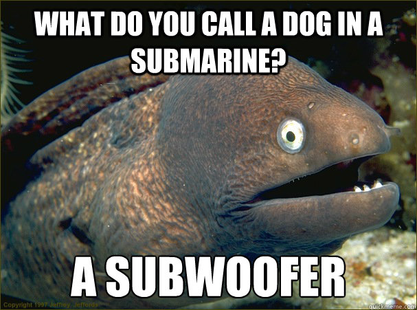 What do you call a dog in a submarine? A subwoofer Caption 3 goes here  Bad Joke Eel