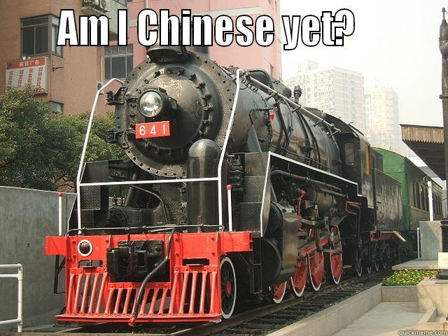      AM I CHINESE YET?           Misc