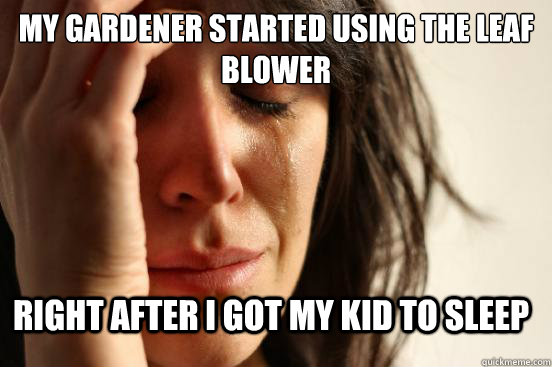 my gardener started using the leaf blower right after i got my kid to sleep  FirstWorldProblems