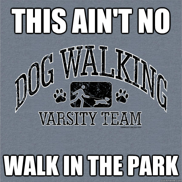 This ain't no Walk in the park  Varsity Dog Walking