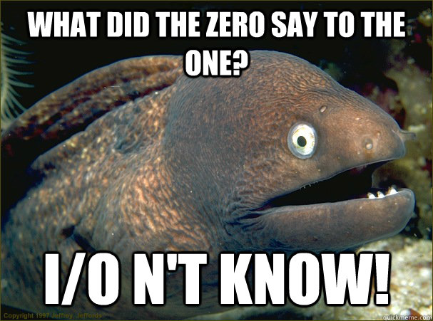 What did the zero say to the one? I/O n't Know!  Bad Joke Eel