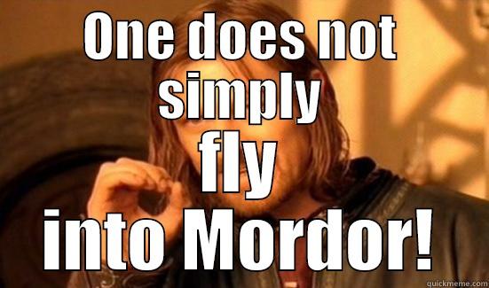 ONE DOES NOT SIMPLY FLY INTO MORDOR! Boromir