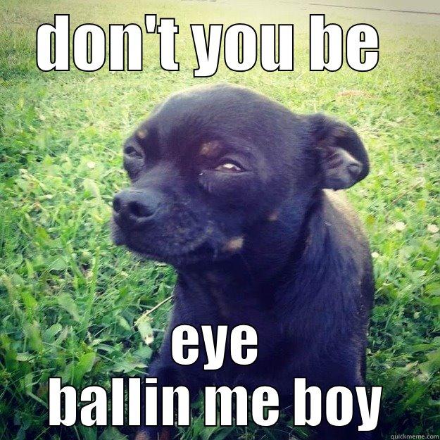 eye ballin - DON'T YOU BE  EYE BALLIN ME BOY Skeptical Dog