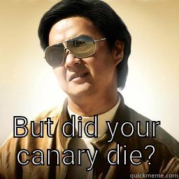 Dead canary -  BUT DID YOUR CANARY DIE? Mr Chow