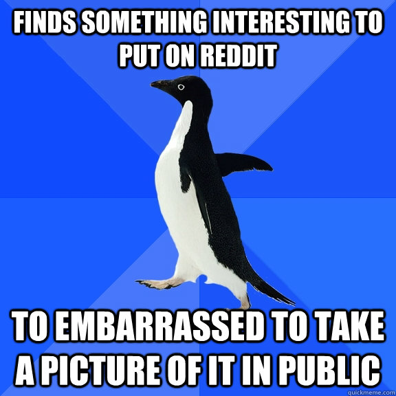 Finds something interesting to put on reddit to embarrassed to take a picture of it in public  Socially Awkward Penguin
