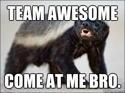 Team Awesome COME AT ME BRO. - Team Awesome COME AT ME BRO.  Honey Badger MAD