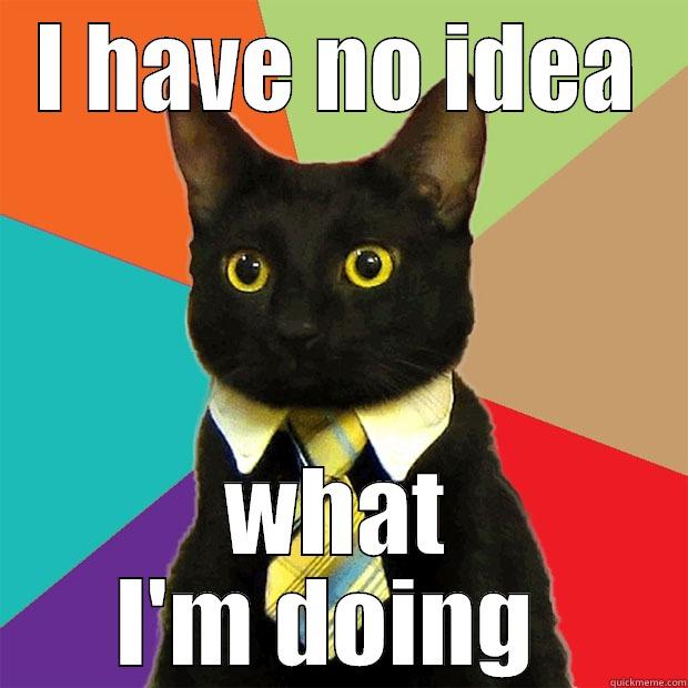 Presentation 3 - I HAVE NO IDEA WHAT I'M DOING  Business Cat