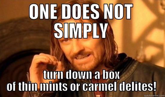 ONE DOES NOT SIMPLY TURN DOWN A BOX OF THIN MINTS OR CARMEL DELITES! Boromir