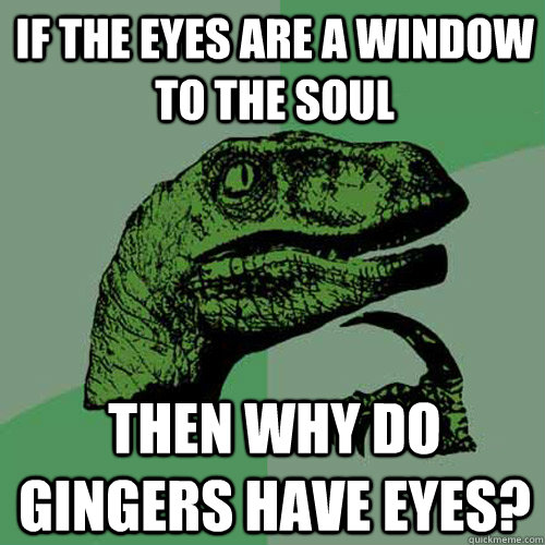 If the eyes are a window to the soul Then why do gingers have eyes? - If the eyes are a window to the soul Then why do gingers have eyes?  Philosoraptor