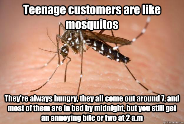 Teenage customers are like mosquitos They're always hungry, they all come out around 7, and most of them are in bed by midnight, but you still get an annoying bite or two at 2 a.m   