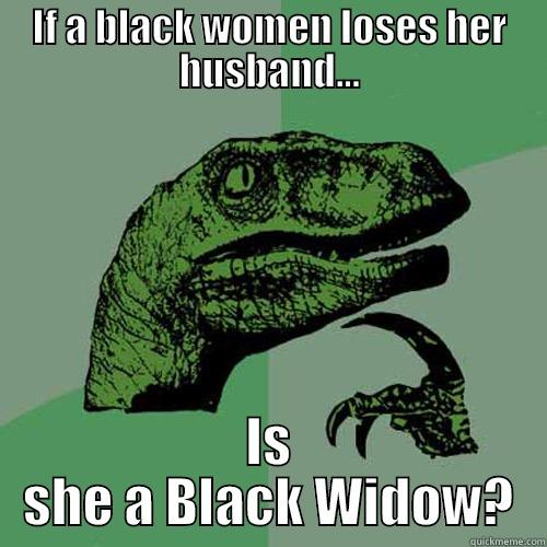 IF A BLACK WOMEN LOSES HER HUSBAND... IS SHE A BLACK WIDOW? Philosoraptor