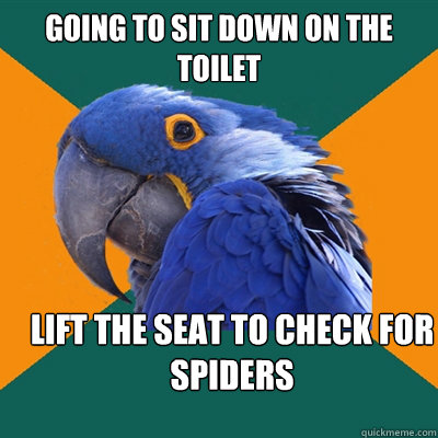 Going to sit down on the toilet lift the seat to check for spiders  Paranoid Parrot
