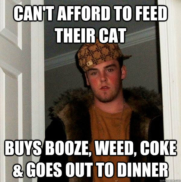 Can't afford to feed their cat Buys booze, weed, coke & goes out to dinner - Can't afford to feed their cat Buys booze, weed, coke & goes out to dinner  Scumbag Steve