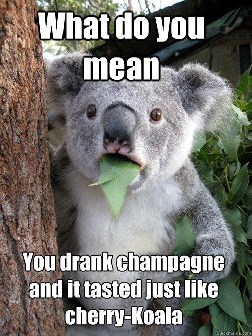 What do you mean You drank champagne and it tasted just like cherry-Koala - What do you mean You drank champagne and it tasted just like cherry-Koala  astonished koala