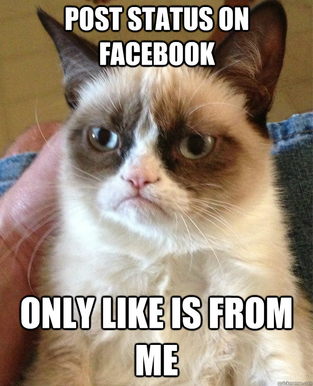 post status on facebook only like is from me   Grumpy Cat