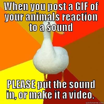 WHEN YOU POST A GIF OF YOUR ANIMALS REACTION TO A SOUND PLEASE PUT THE SOUND IN, OR MAKE IT A VIDEO.  Tech Impaired Duck