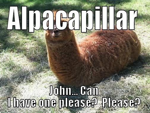 ALPACAPILLAR JOHN... CAN I HAVE ONE PLEASE?  PLEASE? Alpacapillar