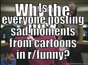WHY THE FUCK IS EVERYONE POSTING SAD MOMENTS FROM CARTOONS IN R/FUNNY? Annoyed Picard