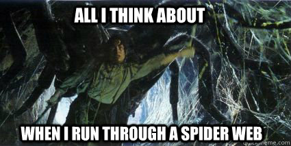 when i run through a spider web All i think about  Spider Webs