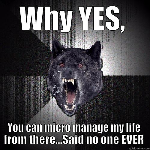 WHY YES, YOU CAN MICRO MANAGE MY LIFE FROM THERE...SAID NO ONE EVER Insanity Wolf