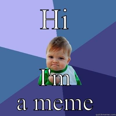 Meme says Hi - HI I'M A MEME Success Kid