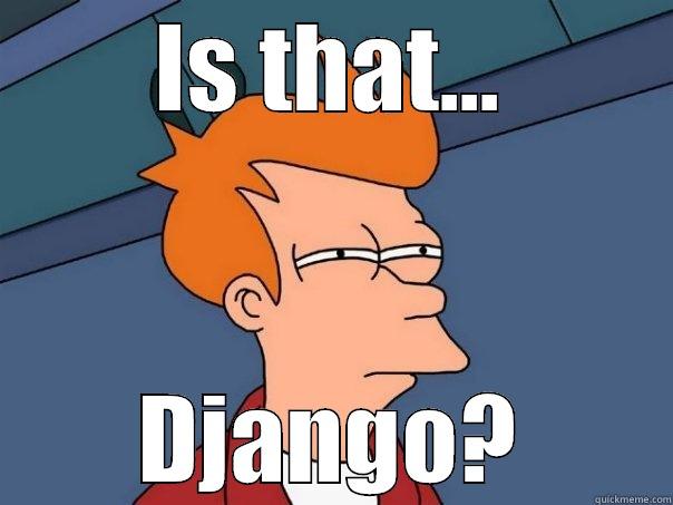 IS THAT... DJANGO? Futurama Fry