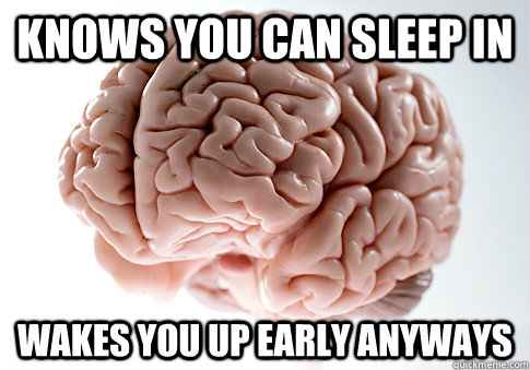 knows you can sleep in wakes you up early anyways - knows you can sleep in wakes you up early anyways  Scumbag Brain