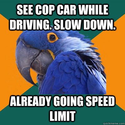 see cop car while driving. Slow down. Already going speed limit  Paranoid Parrot