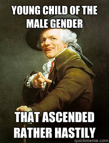 Young Child of the male gender That ascended rather hastily   Joseph Ducreax