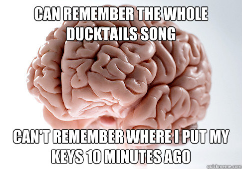 Can remember the whole ducktails song can't remember where i put my keys 10 minutes ago  Scumbag Brain