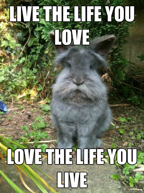 Live the life you love Love the life you live  