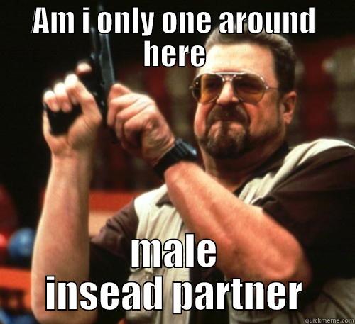am i only one around here - AM I ONLY ONE AROUND HERE MALE INSEAD PARTNER Am I The Only One Around Here