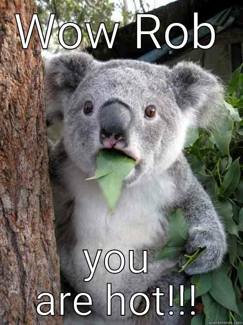 damn you fine - WOW ROB YOU ARE HOT!!! koala bear