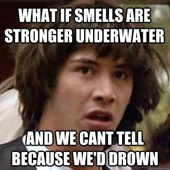What if smells are stronger underwater and we cant tell because we'd drown  conspiracy keanu