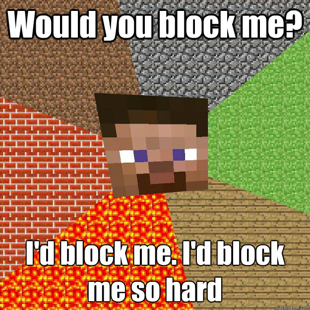 Would you block me? I'd block me. I'd block me so hard  Minecraft