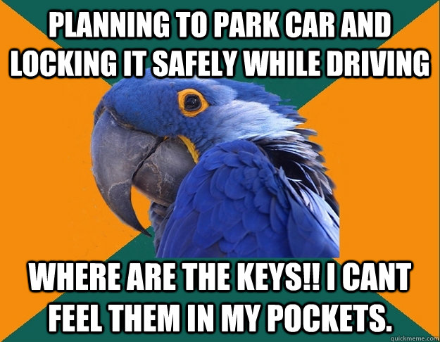 Planning to park car and locking it safely while driving Where are the keys!! I cant feel them in my pockets.  Paranoid Parrot