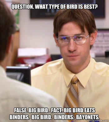 Question. What type of bird is best? False. Big Bird.  Fact. Big bird eats binders.  Big Bird.  Binders.  Bayonets. - Question. What type of bird is best? False. Big Bird.  Fact. Big bird eats binders.  Big Bird.  Binders.  Bayonets.  Jim as dwight