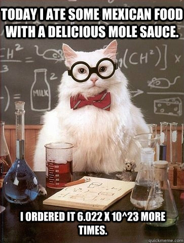 Today I ate some Mexican food with a delicious mole sauce. I ordered it 6.022 x 10^23 more times.  Chemistry Cat