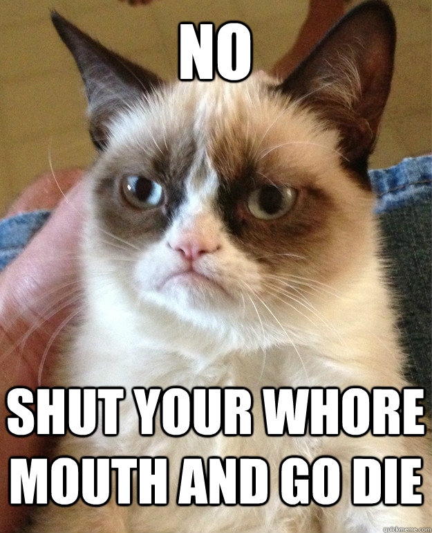 NO SHUT YOUR WHORE MOUTH AND GO DIE  Grumpy Cat