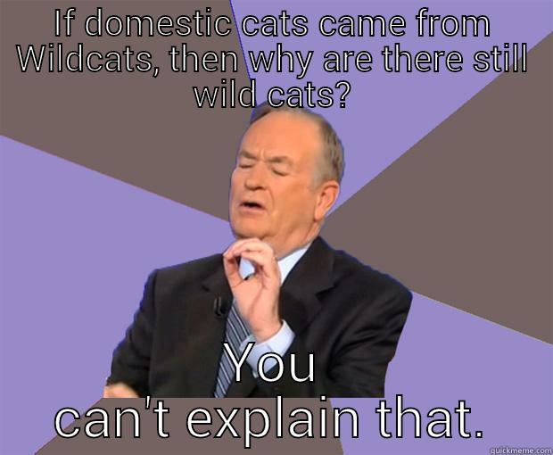 IF DOMESTIC CATS CAME FROM WILDCATS, THEN WHY ARE THERE STILL WILD CATS? YOU CAN'T EXPLAIN THAT. Bill O Reilly