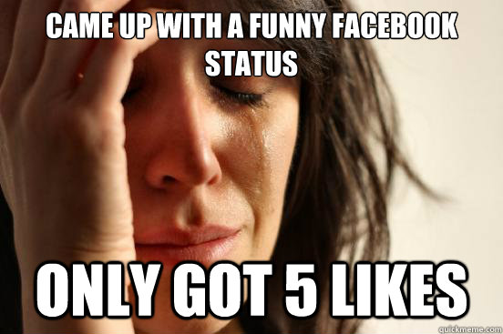 Came up with a funny facebook status Only got 5 likes  First World Problems