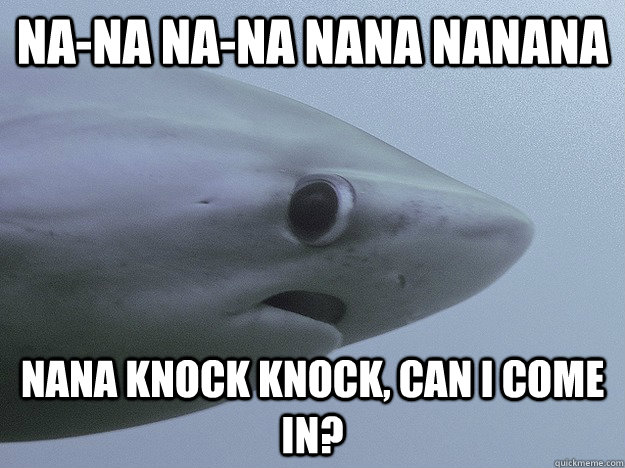 Na-Na Na-Na Nana Nanana Nana Knock Knock, can I come in?  Shy Shark