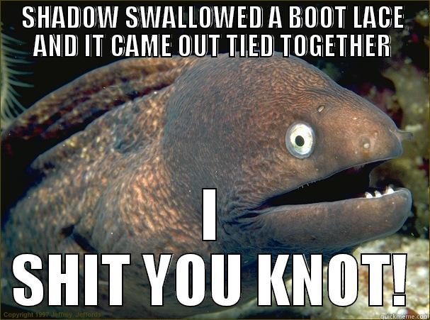 shadowlace ha ha - SHADOW SWALLOWED A BOOT LACE AND IT CAME OUT TIED TOGETHER I SHIT YOU KNOT! Bad Joke Eel