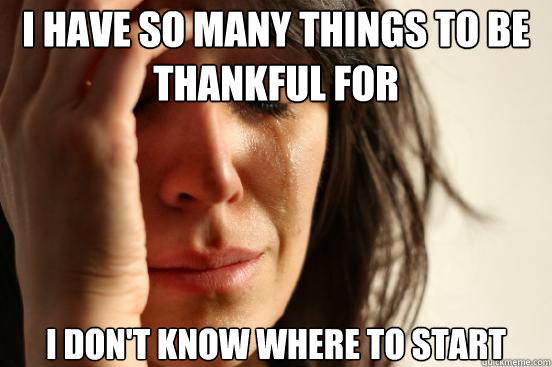 I have so many things to be thankful for I don't know where to start  First World Problems