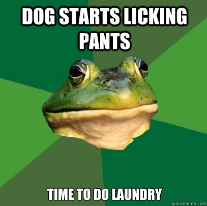 Dog starts licking pants Time to do laundry  Foul Bachelor Frog