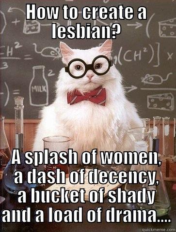Lesbian Swag - HOW TO CREATE A LESBIAN? A SPLASH OF WOMEN, A DASH OF DECENCY, A BUCKET OF SHADY AND A LOAD OF DRAMA.... Chemistry Cat