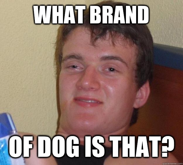 What brand Of dog is that? - What brand Of dog is that?  10 Guy